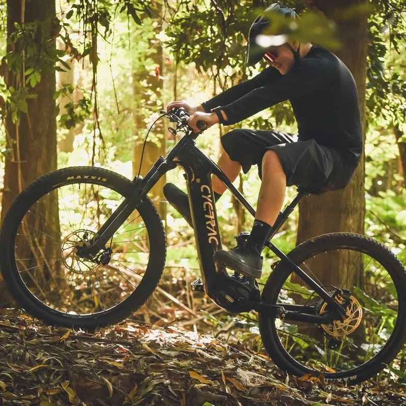 EM10 Electric Bicycle - Carbon Fiber Frame, 29 Inch Full Suspension Electric Mountain Bike