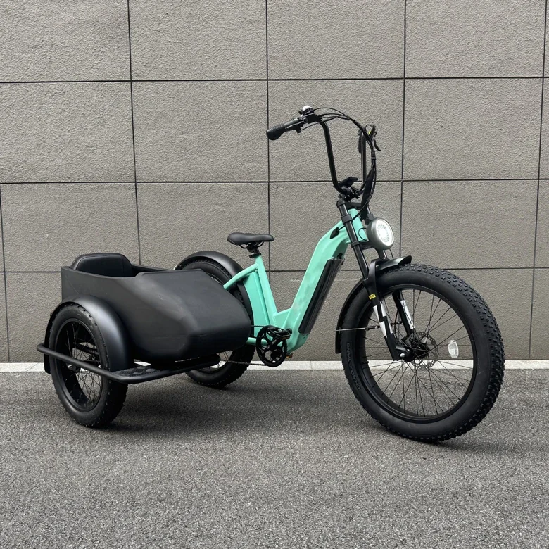 Electric Trike with Sidecar - 500W Motor, 20" Fat Tires