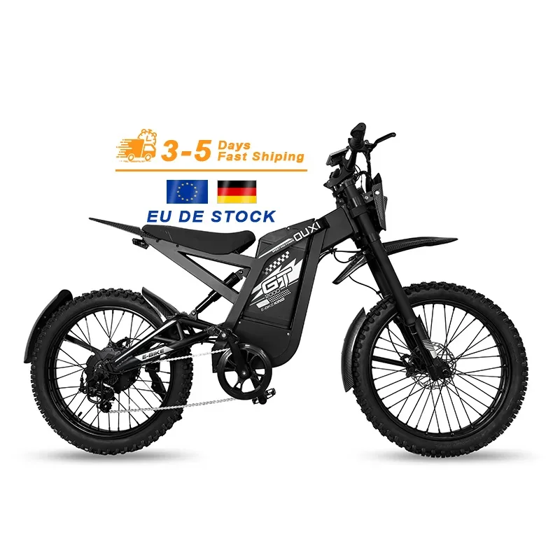 GT2000 Electric Bike - Off-Road & City E-Bike from EU DE Warehouse