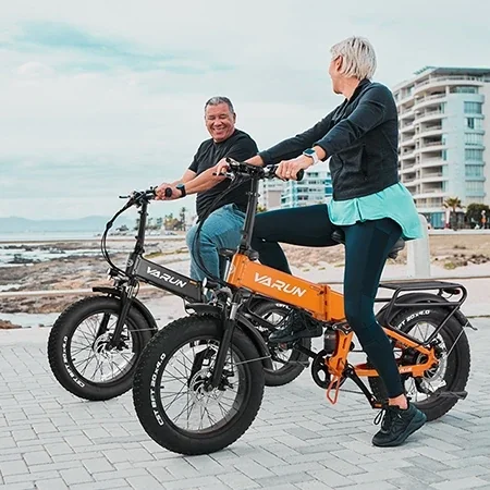 48V 13Ah 250W Electric Bike - 20 Inch Fat Tire Mountain & Beach Cruiser - Customizable ODM/OEM