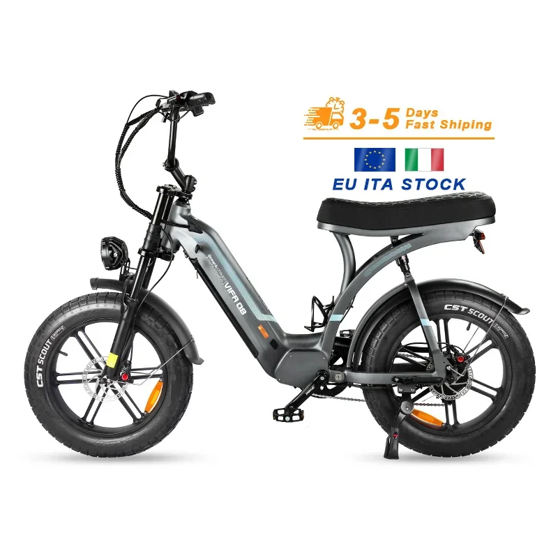 Dual Rear Hub Motor Electric Bicycle - Q8 15Ah 48V Lithium Battery, Fat Tires for Adults