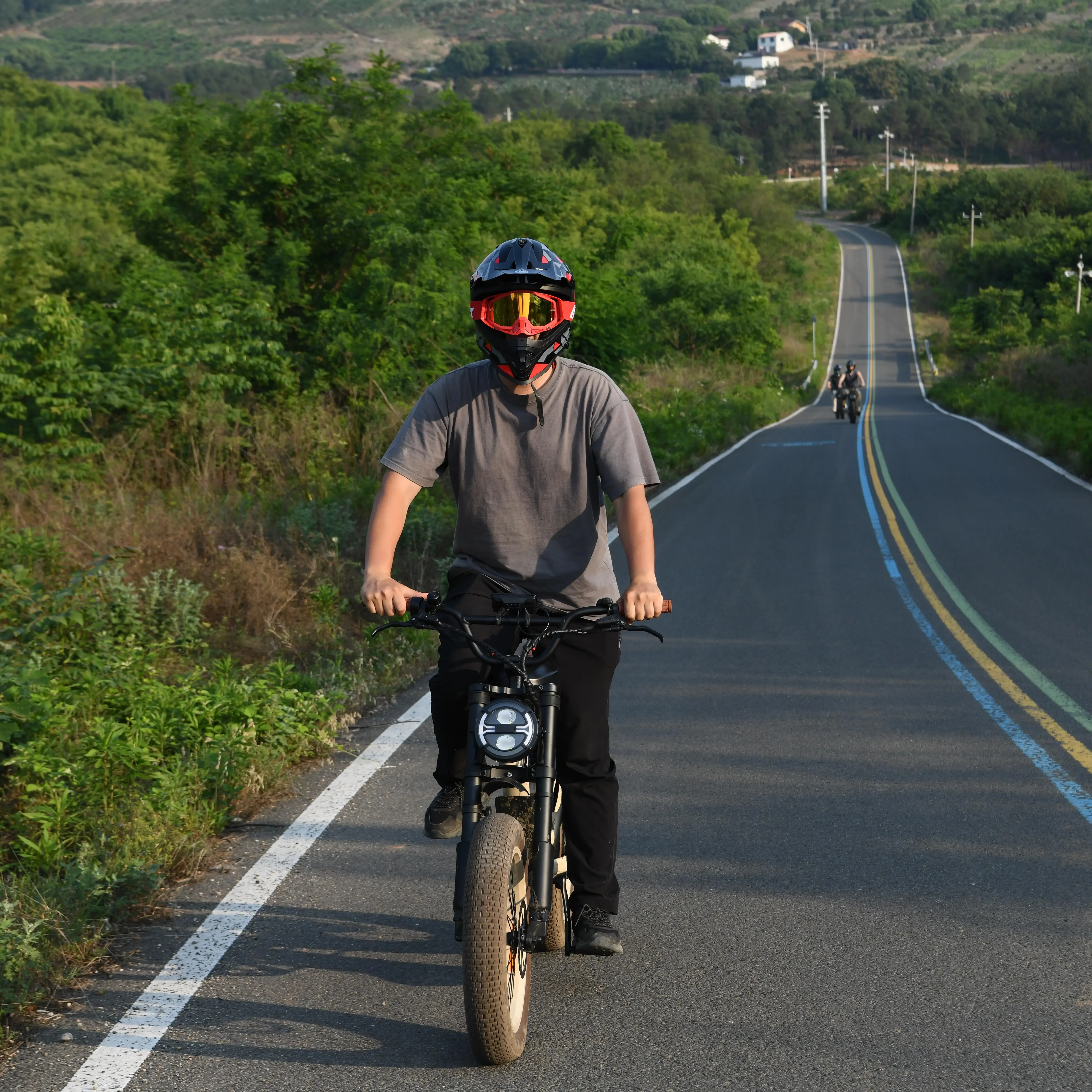 52V 1000W Off-Road E-Bike, 20" Mountain E-Bike Fatbike with Removable Battery