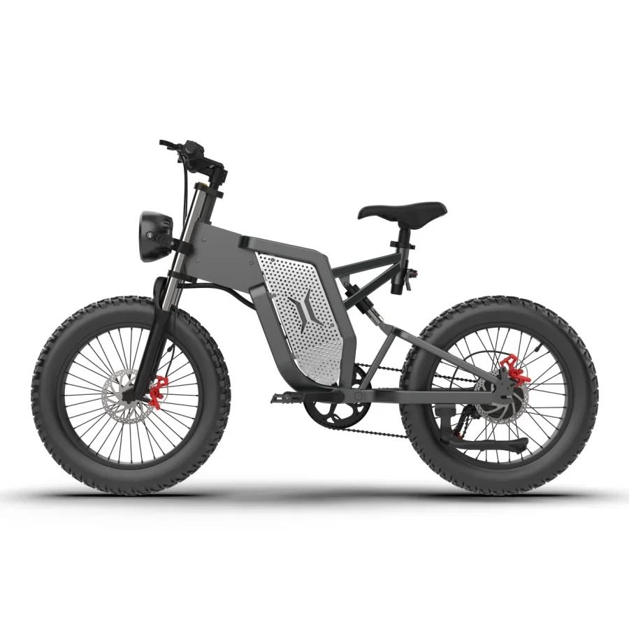 Powerful Electric Bicycle - High-Speed Fat Tire eBike From China