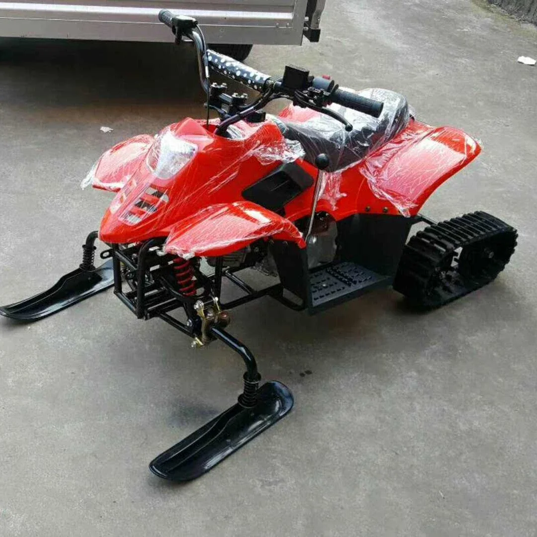 Customized Elektro Snowmobile Snowscoot Ski Snow Racer Sled