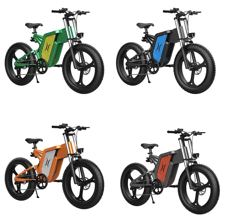 Customized 48V/60V 500W/1000W Adult Fat Tire Electric Off-Road Mountain Bike
