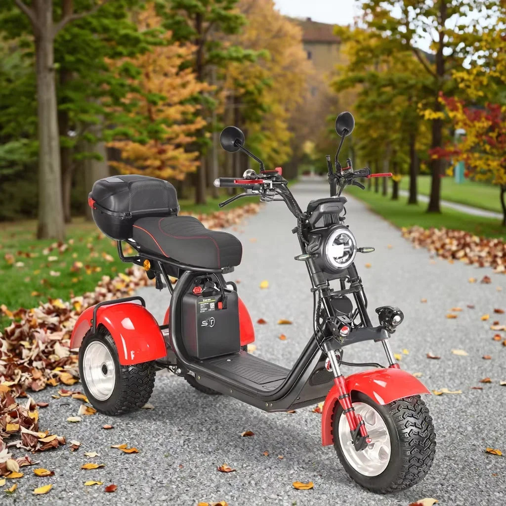 Citycoco 4000W 60V Electric Tricycle 3-Wheel Trike with Swinging Axle