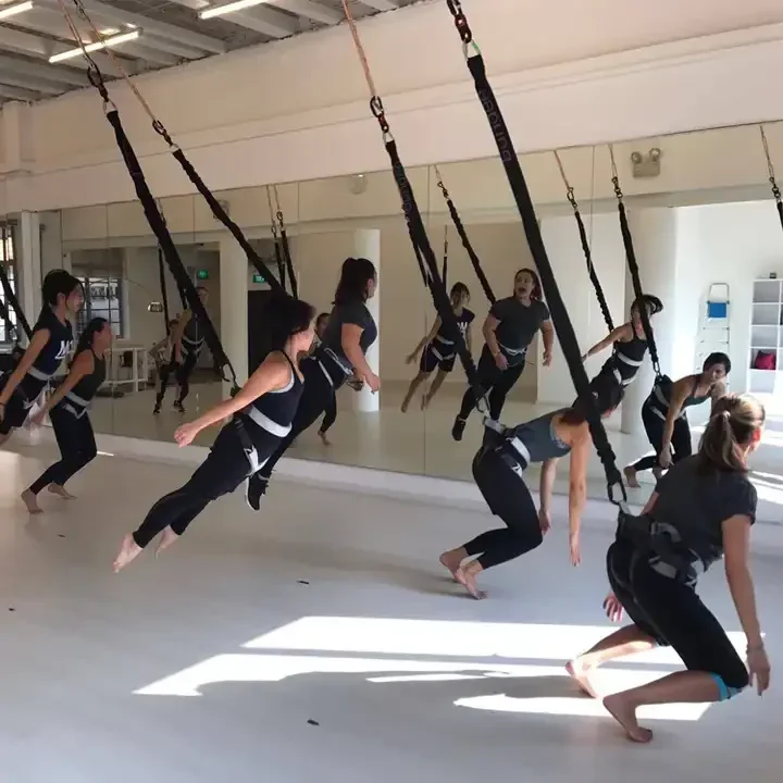 Aerial Bungee Jumping & Dance Workout Kit (50kg-100kg) Yoga Bungee Cord