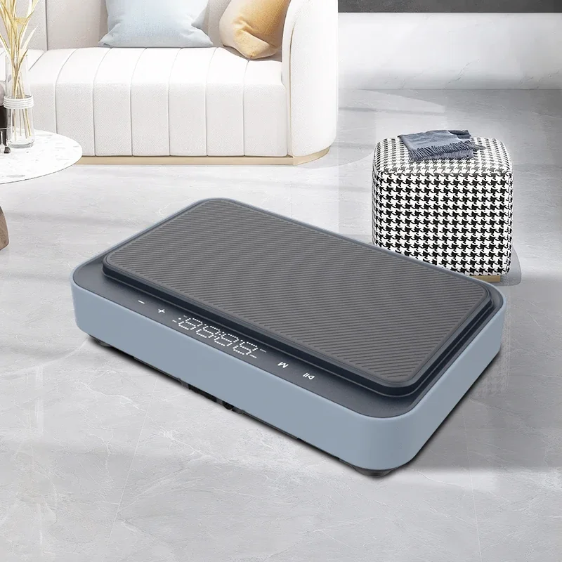 FP-325 High Power Vibration Plate: Electric Shaking Plate for Home Fitness & Body Slimming