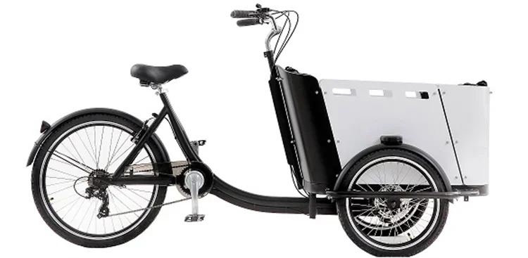 Electric Family Cargo Bike - 4-Seat Pedal Assist Tricycle for Adults & Kids
