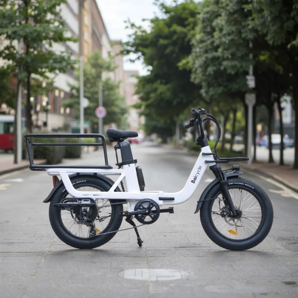 OEM ODM 20-Inch Electric City Cargo Bike, Full Suspension, Fat Tires, 48V