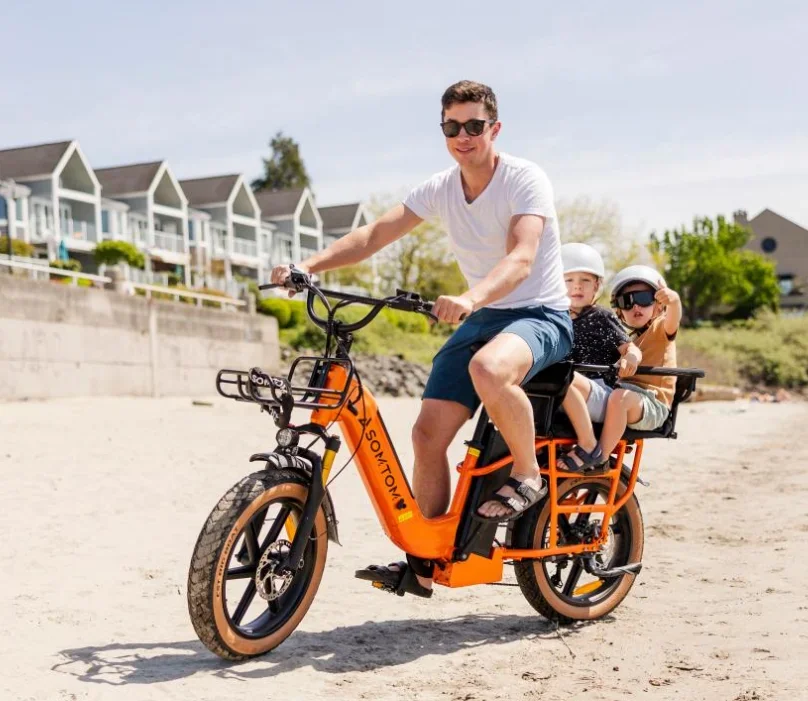 48V 750W Brushless Rear Hub Motor Cargo Electric Bicycle, 15Ah Lithium Battery, Hydraulic Disc Brakes, Aluminum Alloy Frame