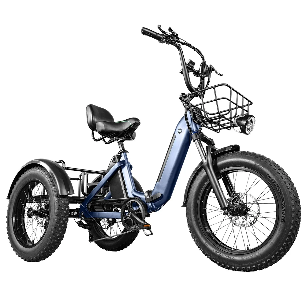 Wholesale Adult Electric Tricycle 500W/750W Motor, Lithium Battery, 3-Wheel Cargo Bike Fat Tires