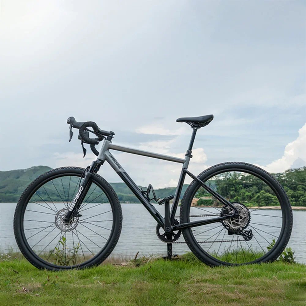 Professional Aluminum Road Bike, 29" 700c Wheels, 12-Speed, Hydraulic Disc Brakes, Suspension